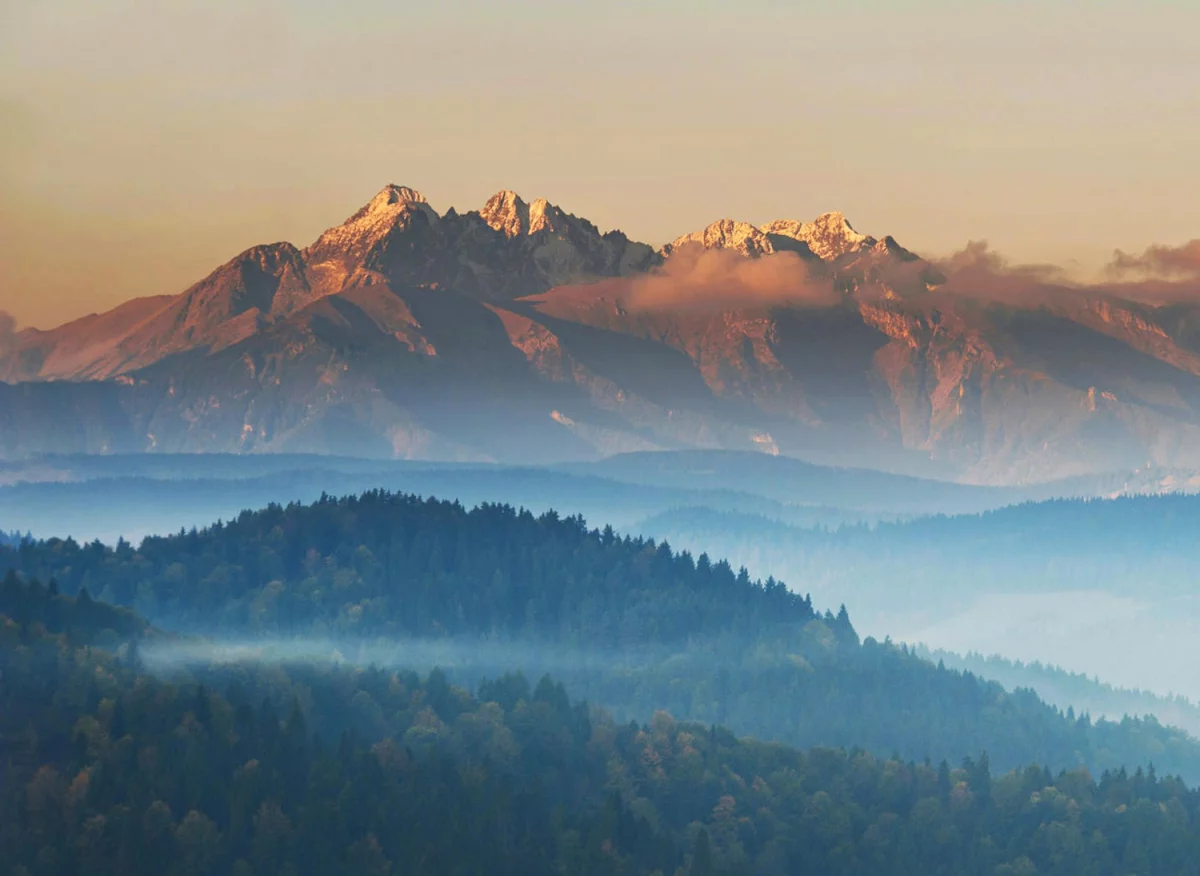 Bazy Danych o produktach i opakowaniach oraz o gospodarce Odpadami w Szwajcarii: Klucz do Zrównoważonego Rozwoju i Efektywnego Zarządzania Odpadami