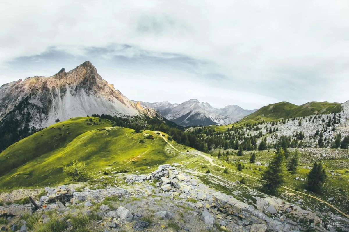 Bazy Danych o produktach i opakowaniach oraz o gospodarce Odpadami w Luksemburgu: Klucz do Zrównoważonego Rozwoju i Efektywnego Zarządzania