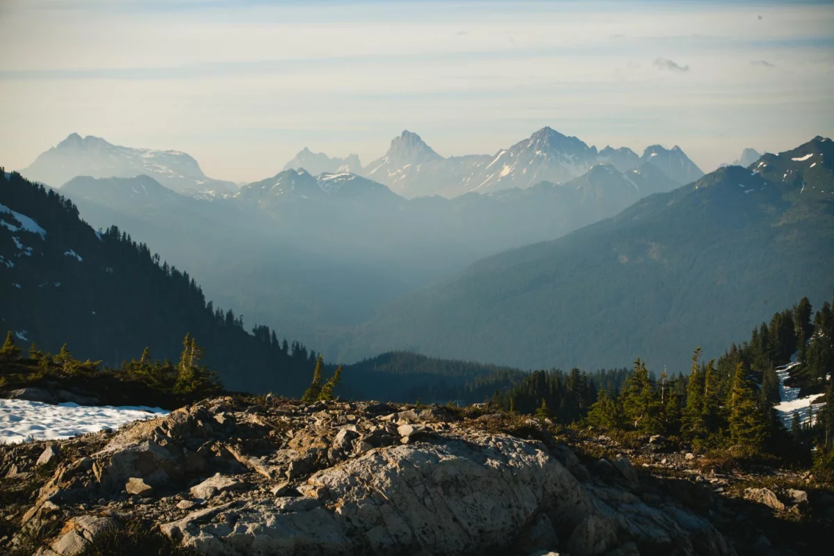 Programista PrestaShop - Twoja kluczowa postać do sukcesu e-commerce