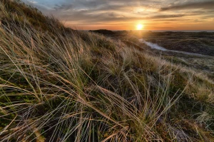 Zaprojektuj chłodne i komfortowe wnętrze z klimatyzacją w Warszawie: Najlepsze rozwiązania dla letnich upałów!