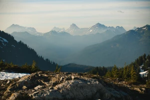 Portal edukacyjny: Twoje zasoby wiedzy i narzędzia dla sukcesu na każdym etapie nauki